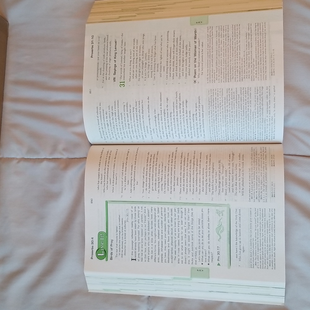 Catholic Youth Bible - Picture 4 of 11